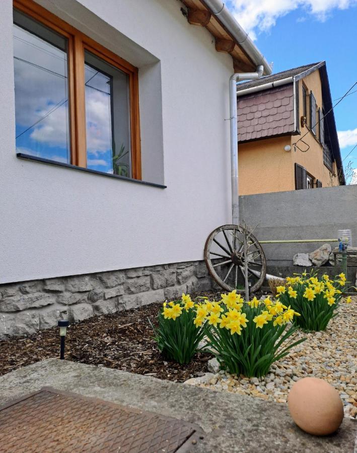 No°21 Apartman Сільвашварад Екстер'єр фото